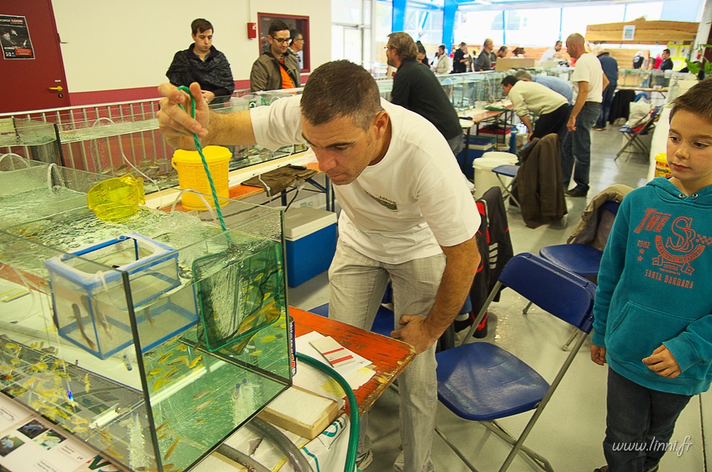 Bourse aquariophile de Nantes (44), 11 octobre 2015 AQUA44 2015 064